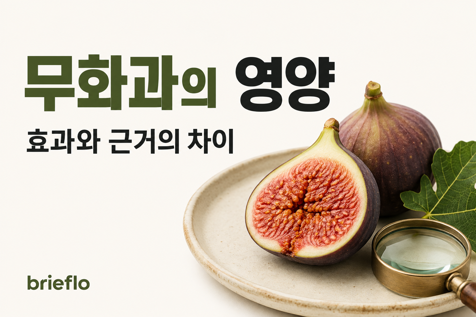 무화과의 영양 — 효과와 근거의 차이