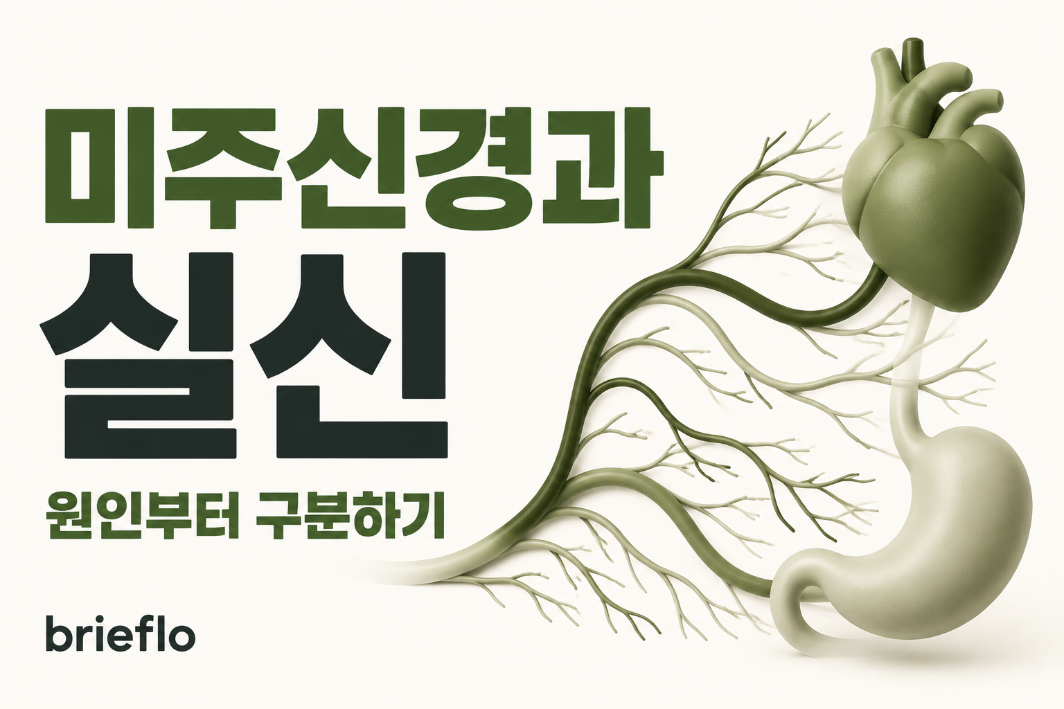 미주신경과 실신 — 원인부터 구분하기
